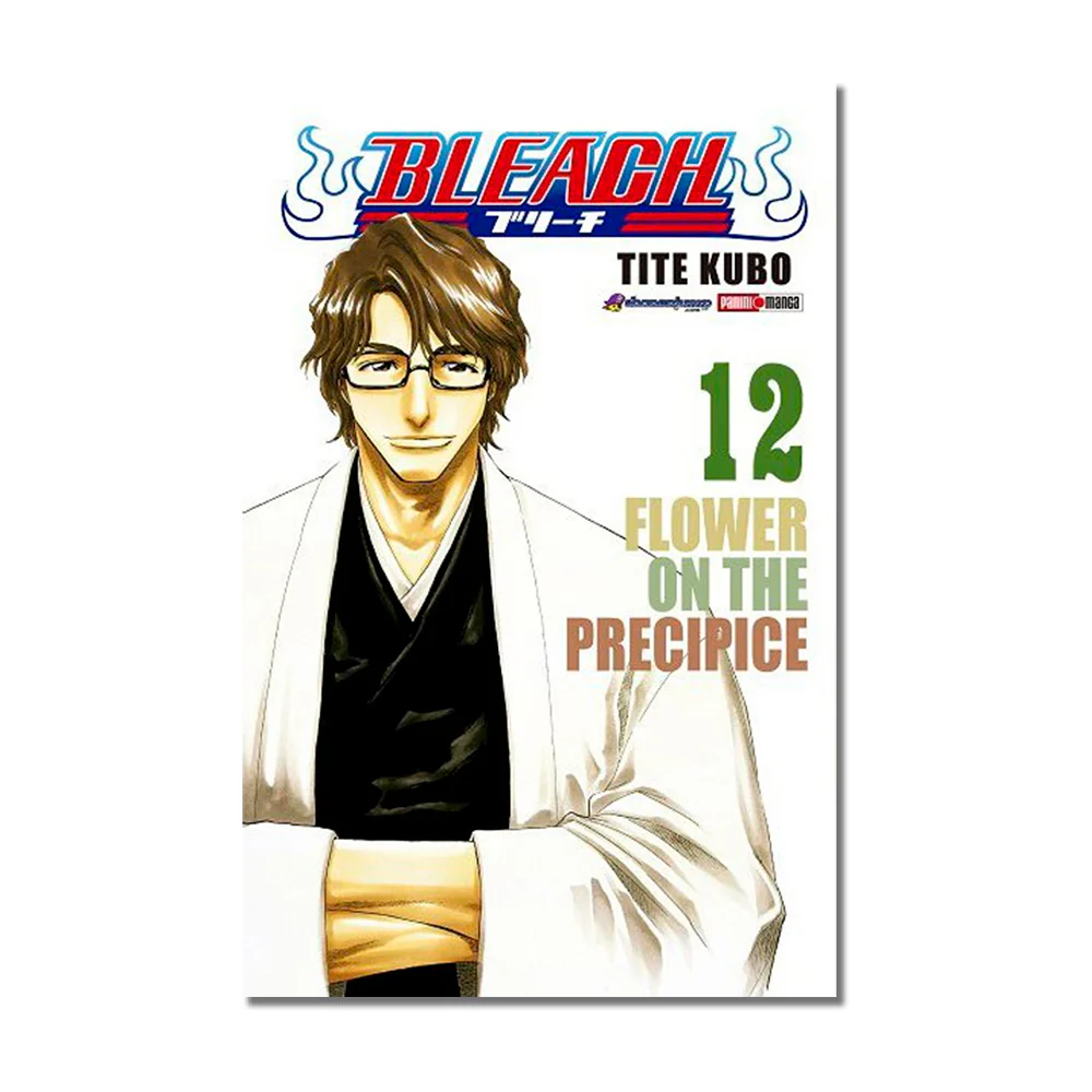 Bleach N.12