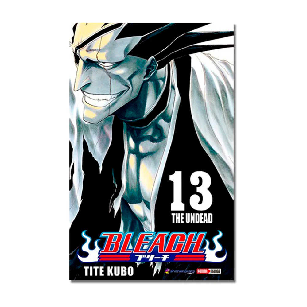 Bleach N.13