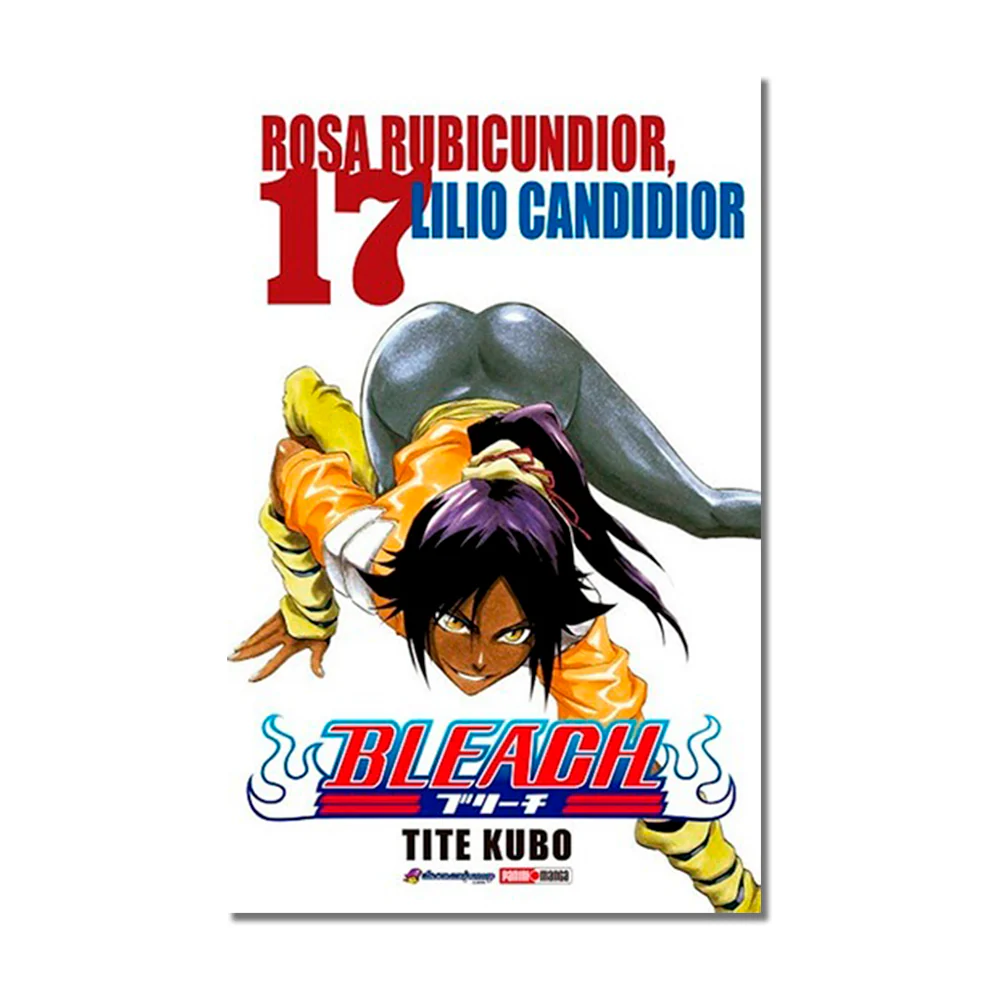 Bleach N.17