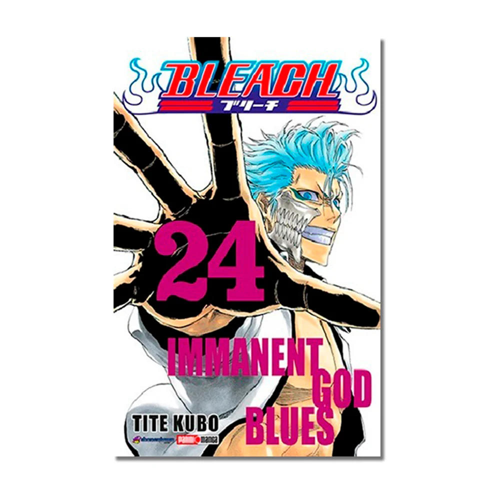 Bleach N.24