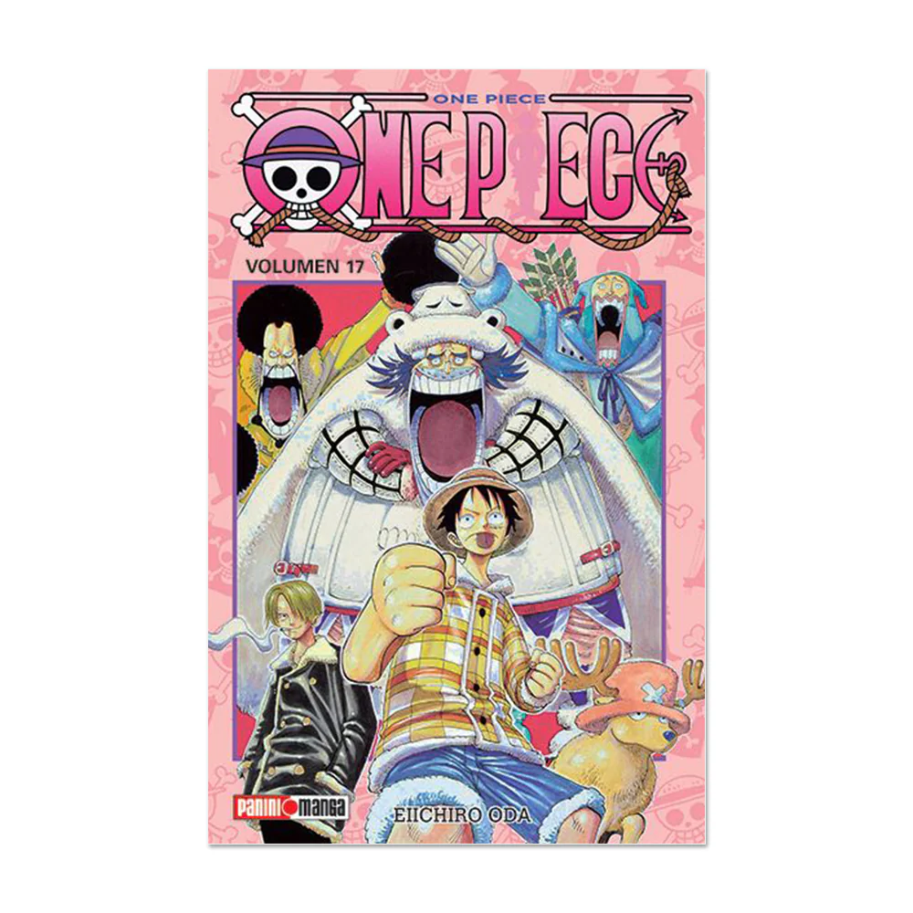 One Piece N.17